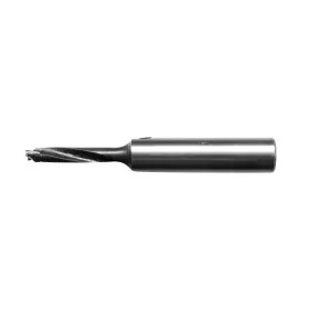 Euro Limited 600346738171 5mm Boring Bit Grey