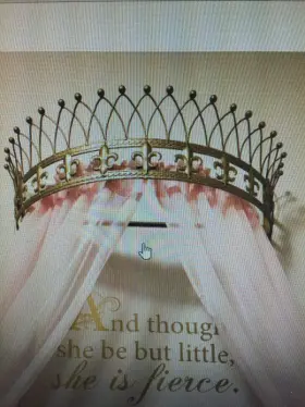 Octorose 657621386084 Metal Wall Teester Bed Crown Canopy Antique Style Decor With Builtin
