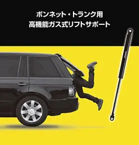 901370 Tenneco Rancho/monroe 048598503701 Max-lift Gas Charged Lift Support #3