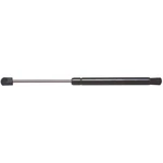 Strong Arm 6351 Hood Lift Support For 04-08 Acura Tl. Fixed Price $28.26.