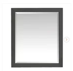 Home Decorators Collection Windlowe 28 In. X 32 Rectangular Wood Framed. Fixed Price $99.00.