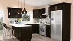 All Wood Rta 10X10 Modern Java Black Shaker Kitchen Cabinets Espresso Birch. Fixed Price $3999.99.