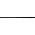 Liftgate Support Strong Arm 4587 Fits 03-08 Hyundai Tiburon. Fixed Price $30.69.